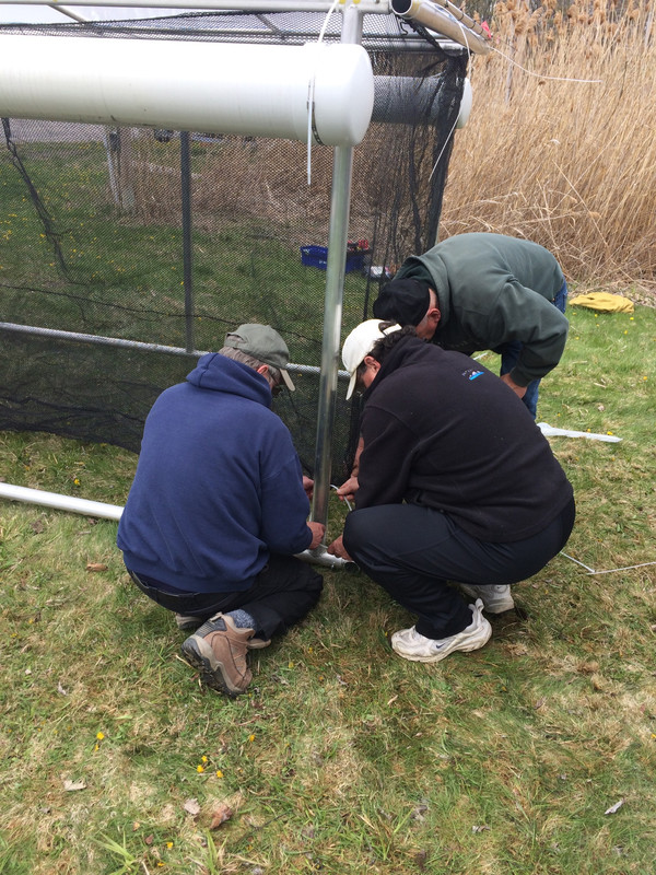 27026B99-E908-4CC7-B1AF-5C3CECE300D6