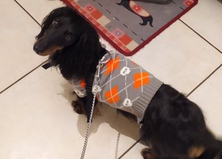 [Image: IMG-20191224-184622.jpg]