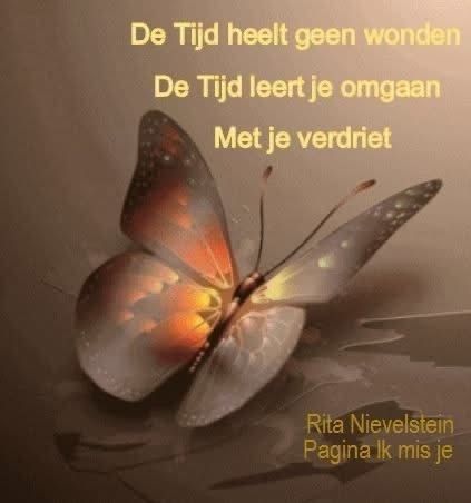 45886672-359381671490018-5412553211309457408-n-A