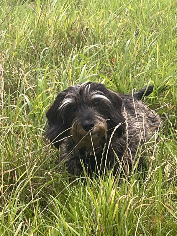 FBA8946A-A8D0-4694-8A7E-134CF5E99E76