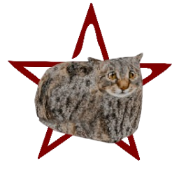 DriftCat
