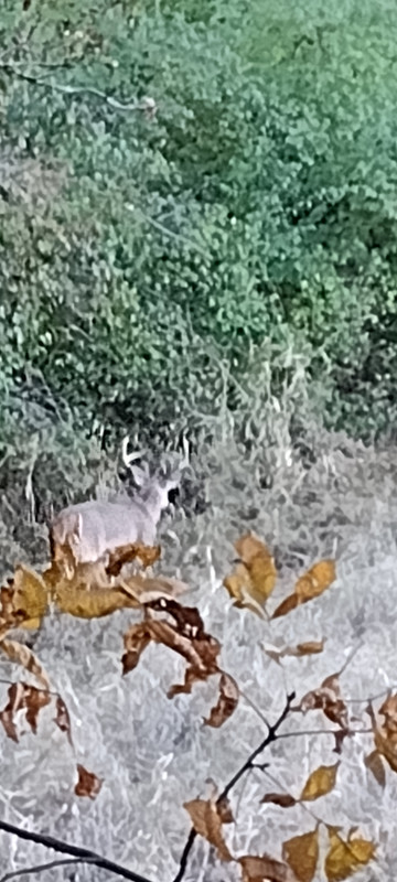 IMG_20211106_172422449