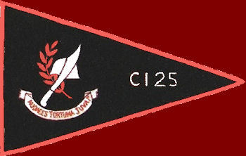 CI25