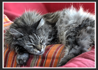 Capture d e cran 2026 04 21 a 17 21 57