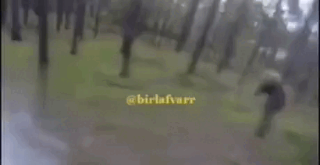 https://i.postimg.cc/MKwJtqWz/2.gif