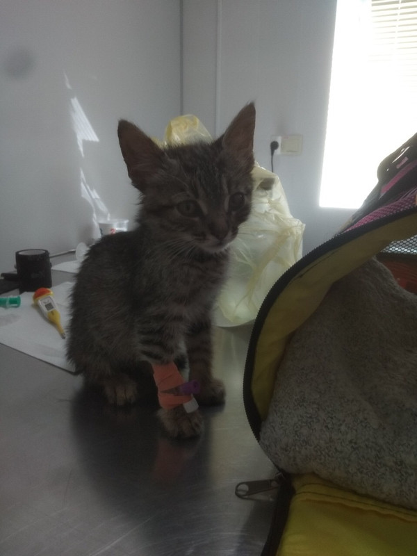 E6DA7FD6-C0E4-4D41-A6F3-E530CB3A62F1