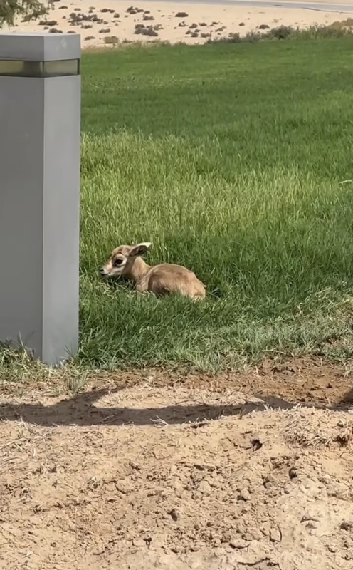 BC059A59-5064-4147-B030-B9AF2A47D4FC