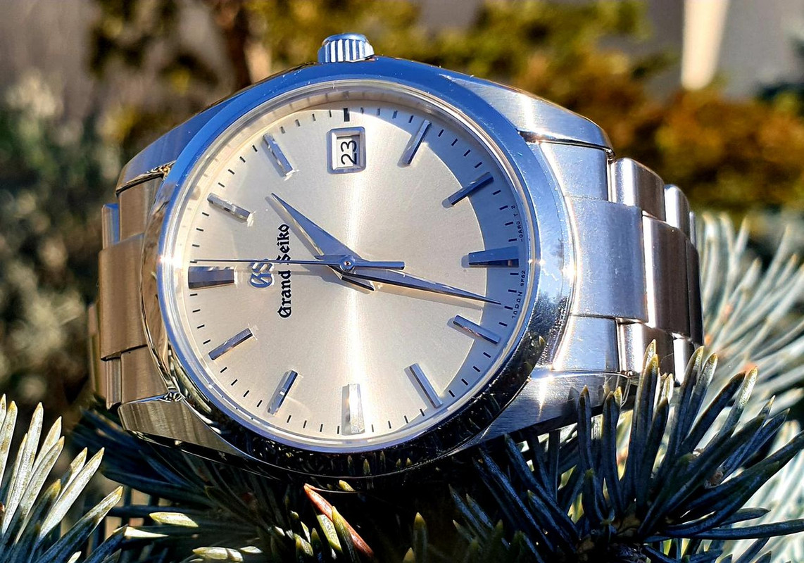 Le club des heureux propriétaires de Grand-Seiko Tome XIII - Page 16 20190223-134531
