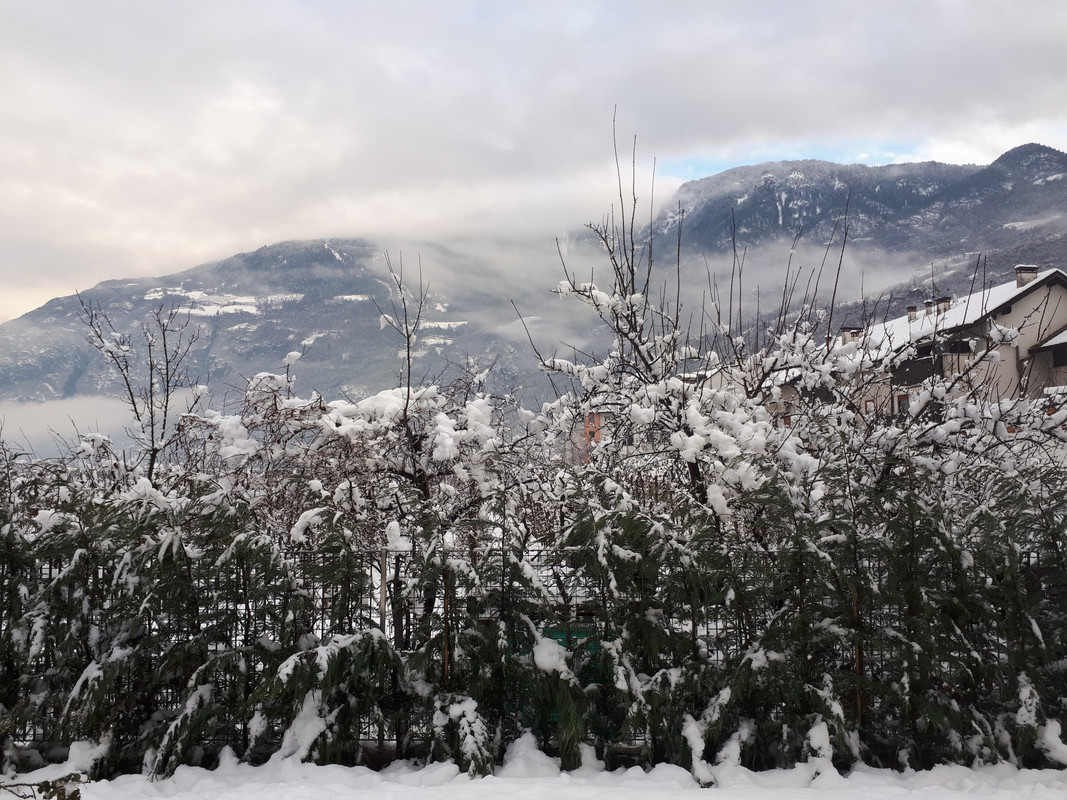 20190202_092703