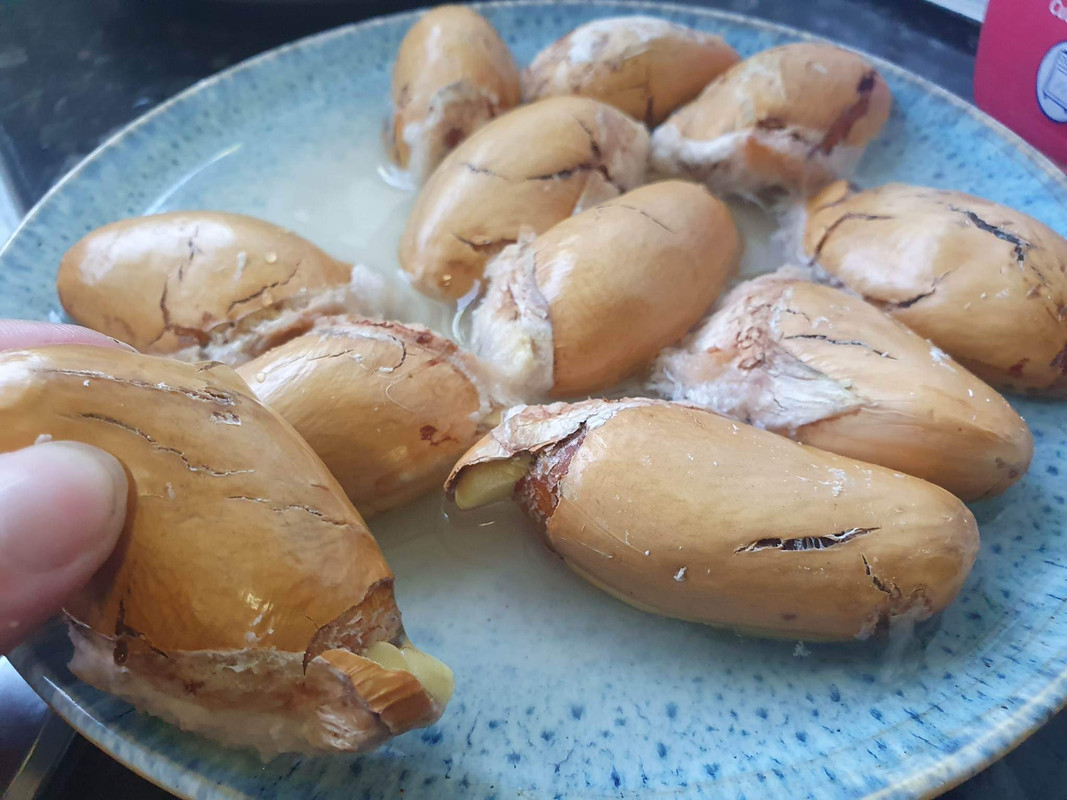 8E3801AC-FB15-46D1-982D-795D83D67CD8