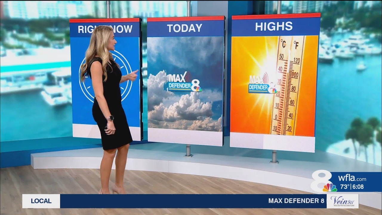 NewsChannel 8 Today at 6a_20241112_11001200.ts_snapshot_08.46.802