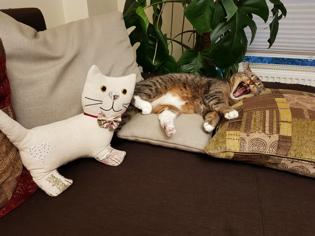 20191027-155940.jpg