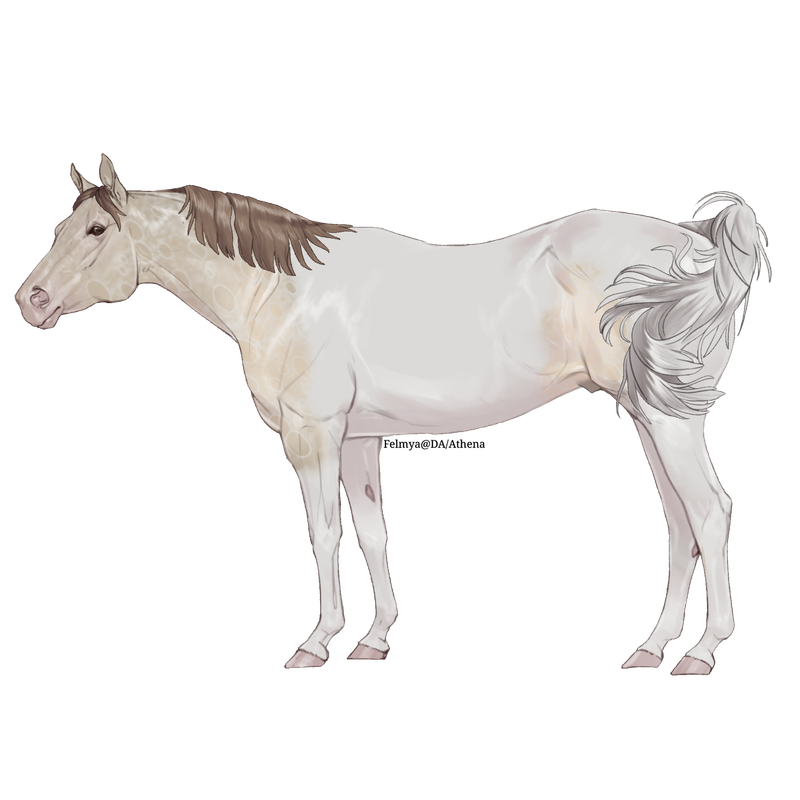 Untitled88-20250423141351.png