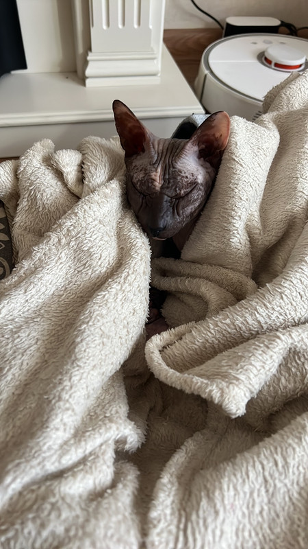 IMG-27865cbe651b23a3a30848f23d5934cd-V