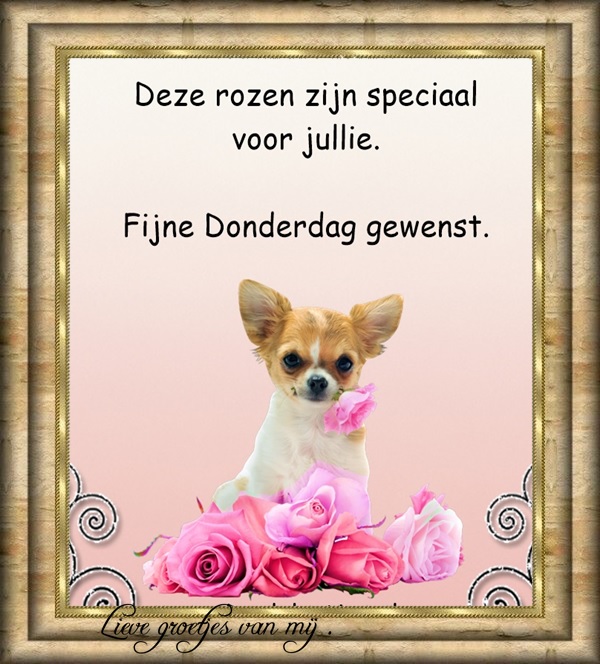 Welkom bij Pps Eddy
