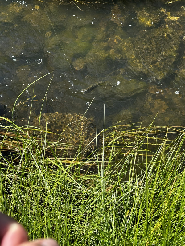 72DDF6CB-231E-4943-BFA0-2B4EABC1A133