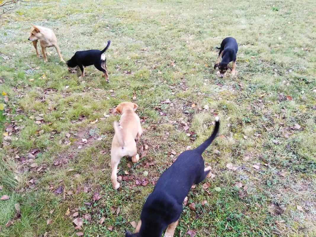 изображение_viber_2019-09-22_13-34-08