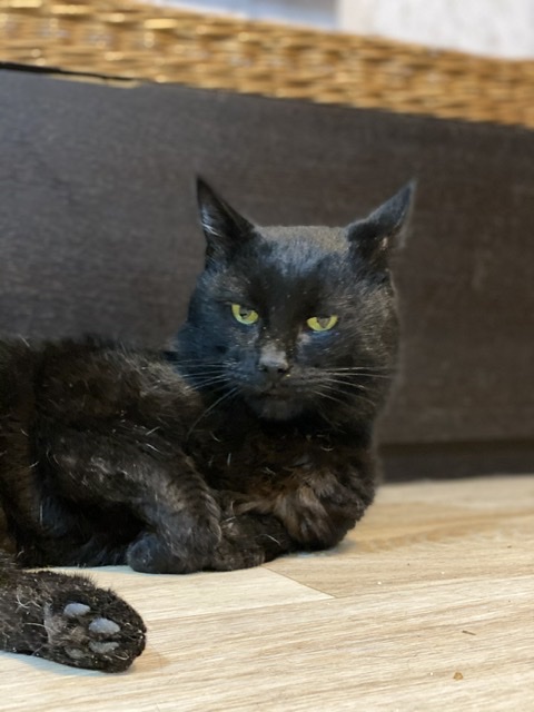 A8E1DA7C-40E6-4371-99F6-859B791DC0B0