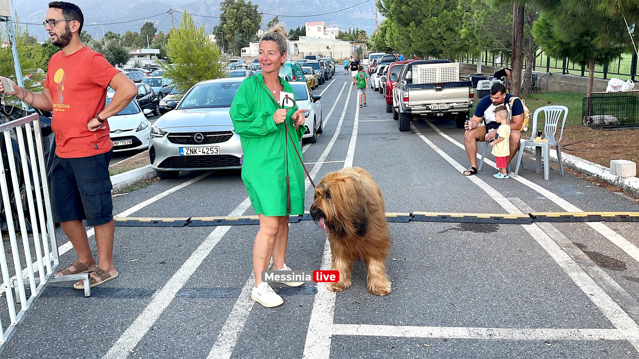 παρκο σκυλιαimage00016