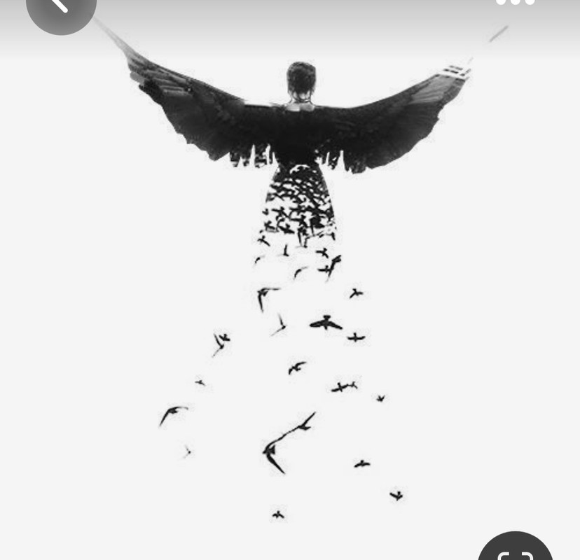 Screenshot_20230618_224124_Pinterest