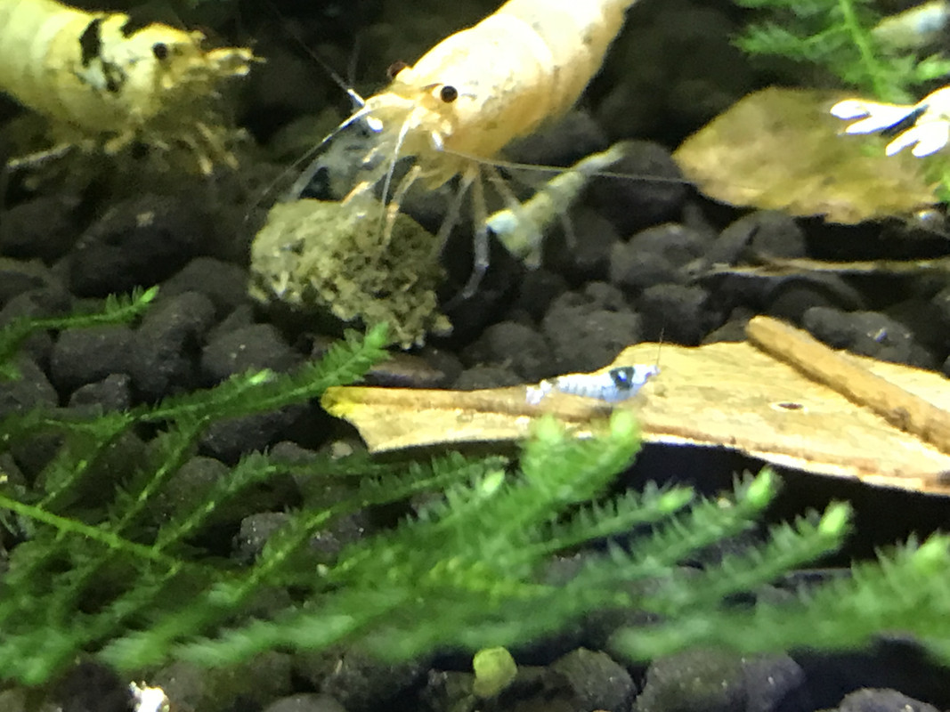 83B022E5-95E0-4C89-A07B-A970E212CEC0