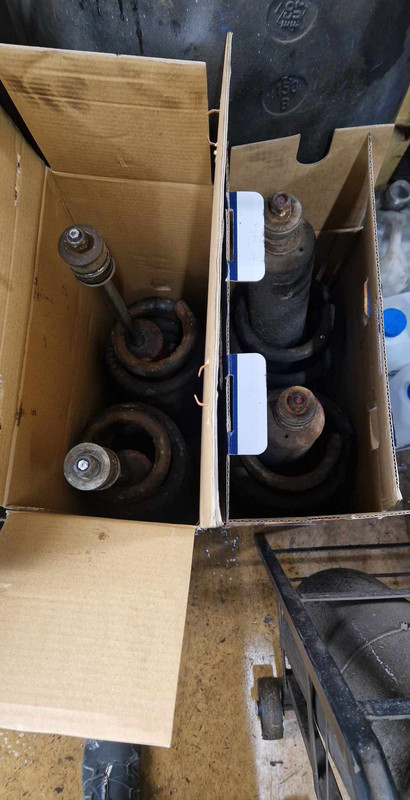 385537299_1491105075063791_6192850053146801724_n