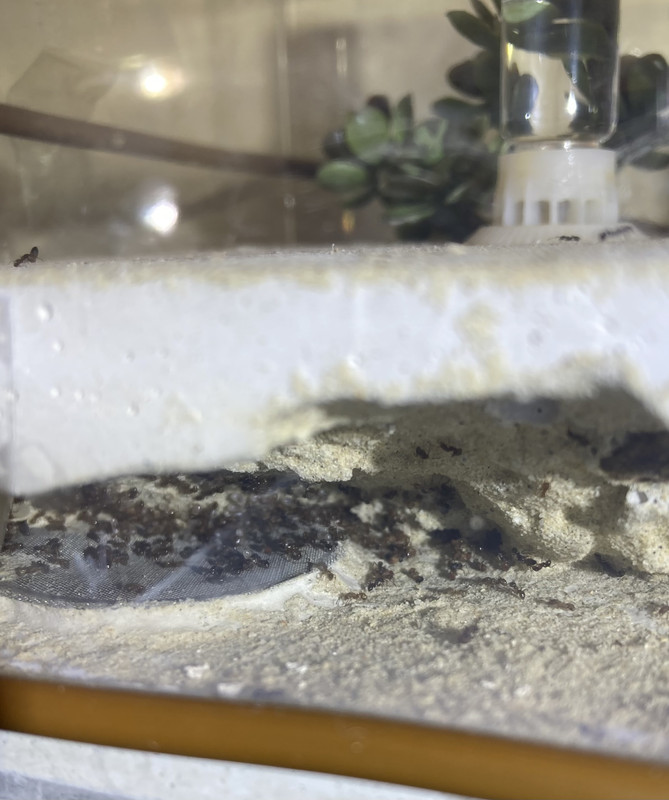 CD4EC274-AA8F-4FA4-A8DB-6B6C055C1B48