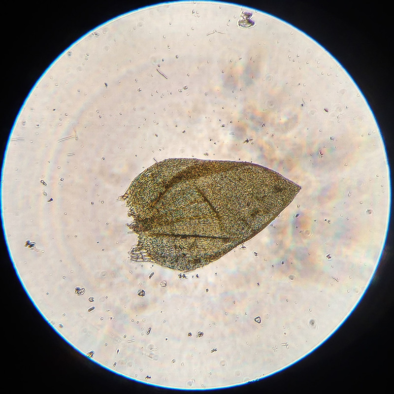 IMG 20250616 220321 HDR