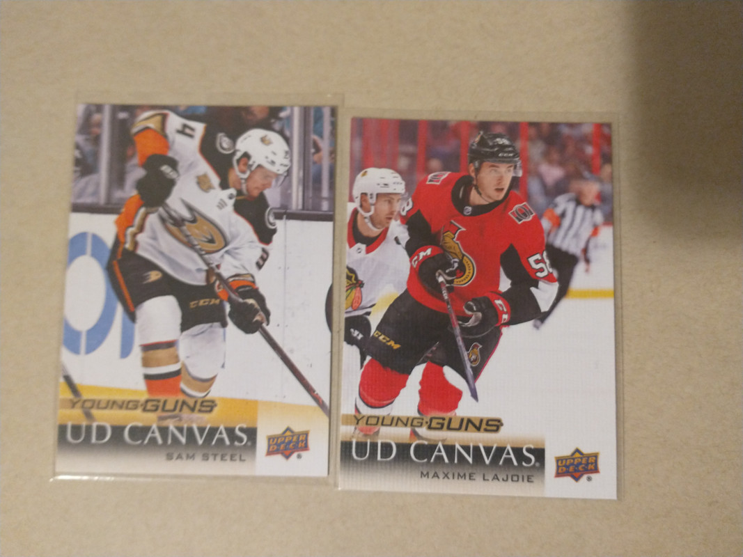 IMG_20241015_132429895_MP