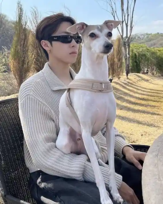 6081b6c90cca6a1e82eb29bf35e6f671_copy_567x709