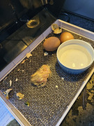 eb5e6ba9-2446-4468-b313-8b402da56447