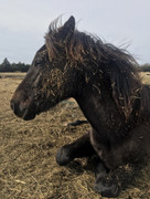 444A548C-27A0-4505-BA41-253D380953FA