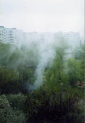 فیلمها و برنامه های تلویزیونی روی طاقچه ذهن کودکی - صفحة 16 UA-27-05-2006-a-Foto-by-59