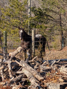 PXL_20250128_205010292