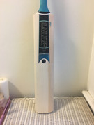 25BA9339-835A-4921-811A-C3DAC94BFCF5