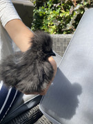 23EE3C29-2B63-4071-BA6A-C99E6D7F69F3