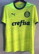 Palmeiras-3-23-24-2.jpg
