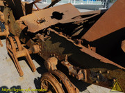 DSCN0579