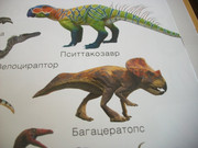https://i.postimg.cc/MMP1tfd5/100-8631.jpg