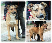 Be-Funky-collage-27.jpg&key=e40309fc01a4