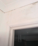 Screenshot-2026-03-11-at-13-32-26