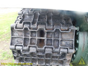 DSCN6137