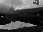 P-51D_Mustang_Bad_Angel_3rd_ACG_Nose_Art-crop_inner-doors