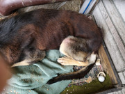 WhatsApp Image 2021-02-17 at 14.32.36