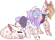 Cameron x Aurora Nova