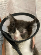 00240692-982E-4287-B773-A4D371B4B7F8