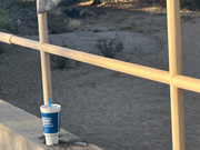 IMG-7508