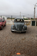 IMG-3235