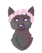 107717714 js9yuayvgp BRb O0