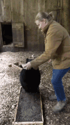 gif-med-bj-rn
